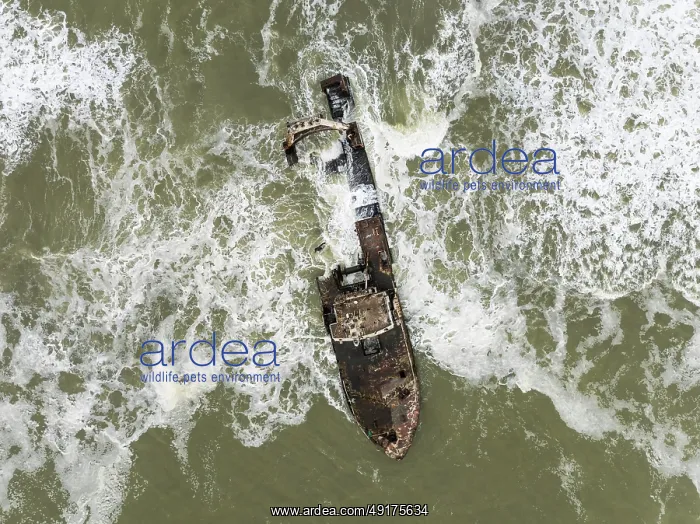 : The Zeila shipwreck at the Skeleton Coast : The Zeila shipwreck at the Skeleton Coast