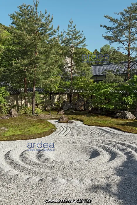 : Zen garden at Kodaiji, Kodai-ji, Temple, Kyoto : Zen garden at Kodaiji, Kodai-ji, Temple, Kyoto