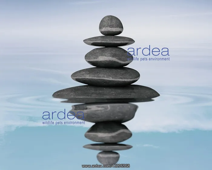 : Zen stones balance concept isolated on white : Zen stones balance concept isolated on white