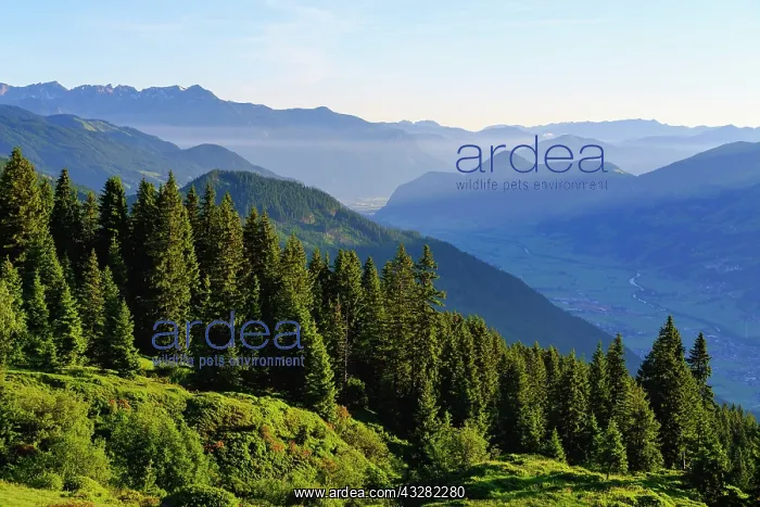 : Zillertal with Inn Valley, view from Zillertaler : Zillertal with Inn Valley, view from Zillertaler