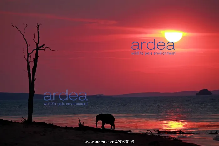 : Zimbabwe, Bumi Hills. The sun sets as a : Zimbabwe, Bumi Hills. The sun sets as a
