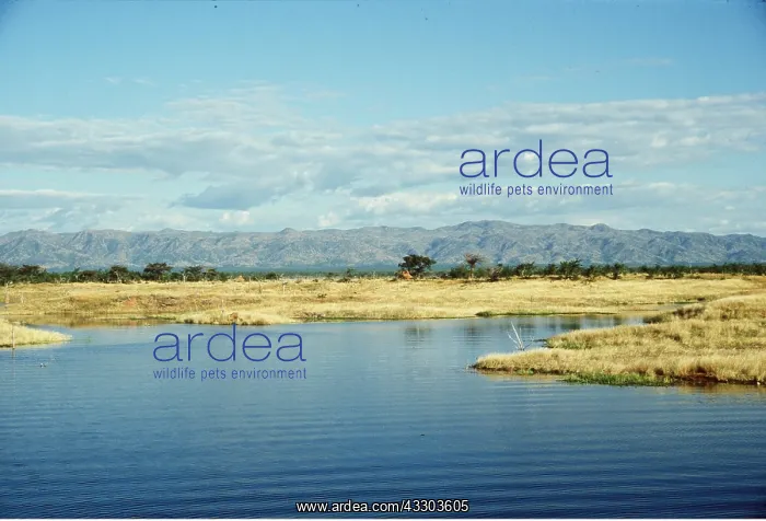 : ZIMBABWE - Kariba Dam Shore : ZIMBABWE - Kariba Dam Shore