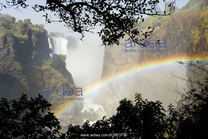: Zimbabwe - View of the Zambezi River and the Victoria : Zimbabwe - View of the Zambezi River and the Victoria