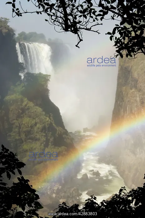: Zimbabwe - View of the Zambezi River and the Victoria : Zimbabwe - View of the Zambezi River and the Victoria