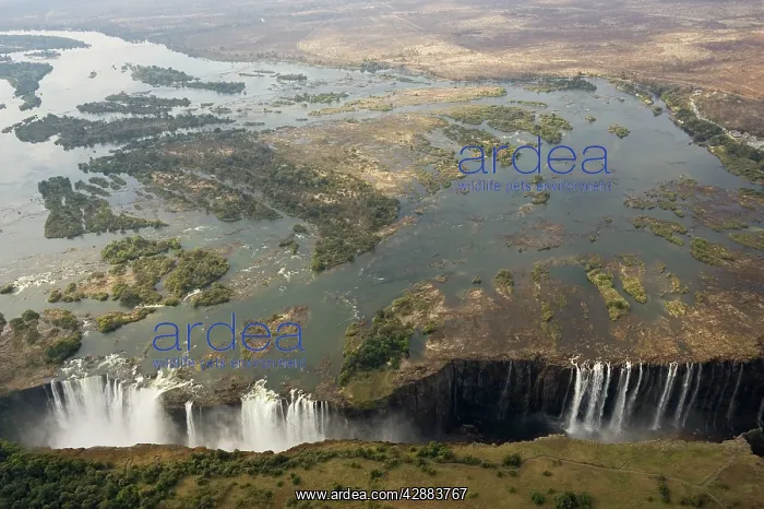 : Zimbabwe / Zambia - Aerial view of the Zambezi : Zimbabwe / Zambia - Aerial view of the Zambezi