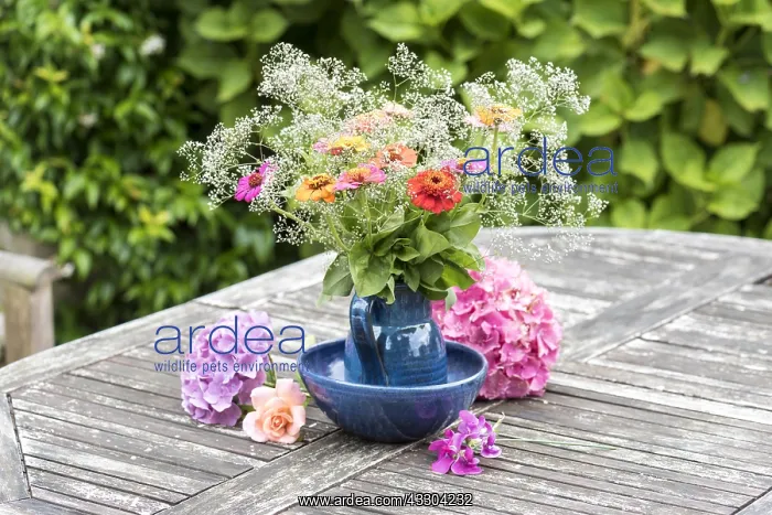 : Zinnias bouquet on a garden table : Zinnias bouquet on a garden table