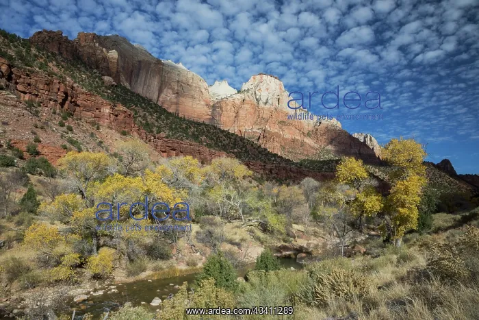 : Zion National Park : Zion National Park