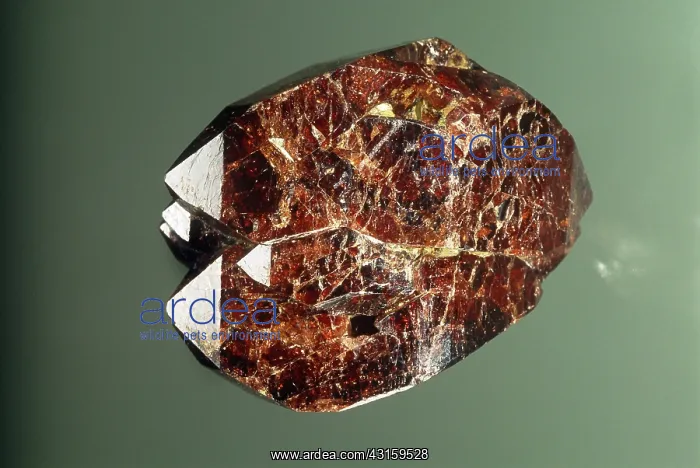 : Zircon, photographed under normal white light : Zircon, photographed under normal white light