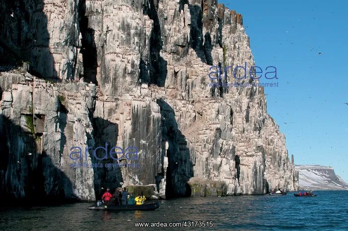: Zodiac with tourists at the foot of a Thick-billed : Zodiac with tourists at the foot of a Thick-billed