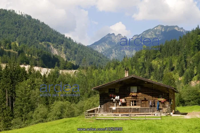 : Zoettbach-cabin, Brandenbergtal Valley, Tyrol, Austria : Zoettbach-cabin, Brandenbergtal Valley, Tyrol, Austria