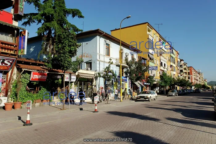 : Zogu i Pare shopping street, Tirana, Albania, the : Zogu i Pare shopping street, Tirana, Albania, the