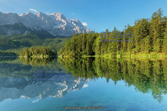 : Zugspitze is reflected in Lake Eibsee, near Grainau : Zugspitze is reflected in Lake Eibsee, near Grainau