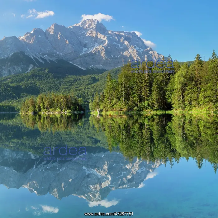 : Zugspitze is reflected in Lake Eibsee, near Grainau : Zugspitze is reflected in Lake Eibsee, near Grainau