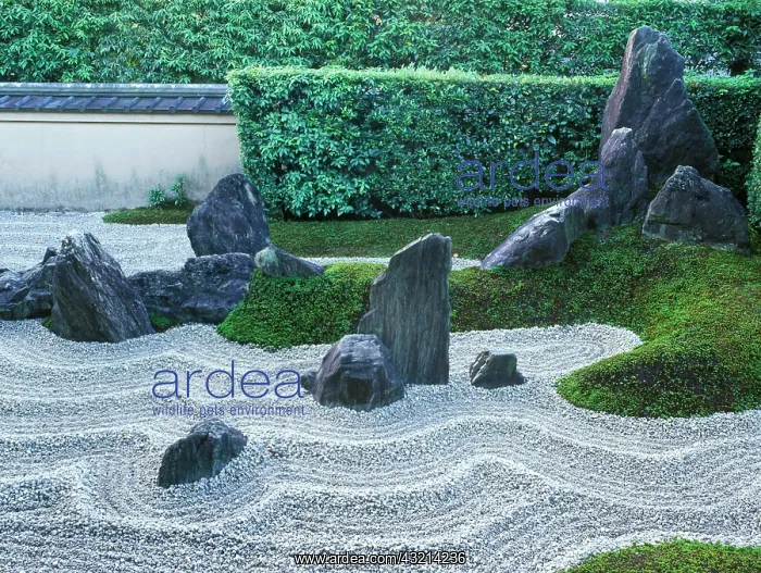 : Zuiho-in Temple Rock Garden, Daitokuji : Zuiho-in Temple Rock Garden, Daitokuji