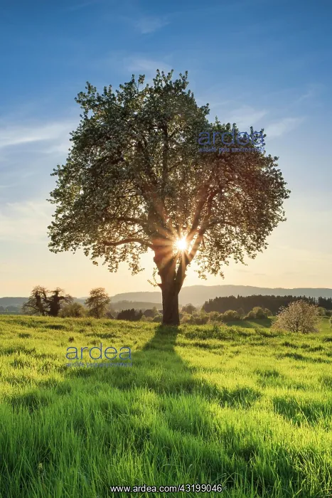: Zurich Oberland with Pfannenstiel, Switzerland : Zurich Oberland with Pfannenstiel, Switzerland