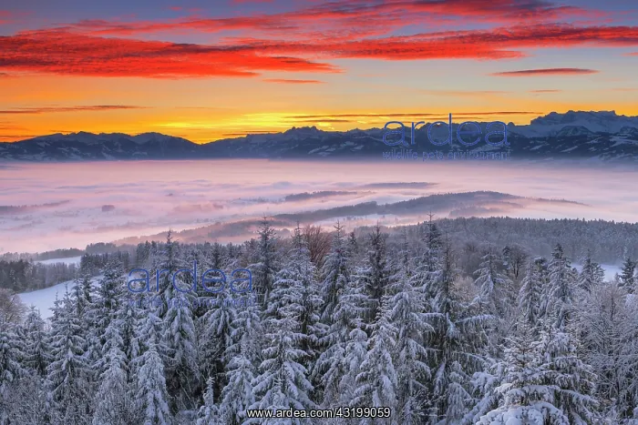 : Zurich Oberland with view of Martschenstock and : Zurich Oberland with view of Martschenstock and