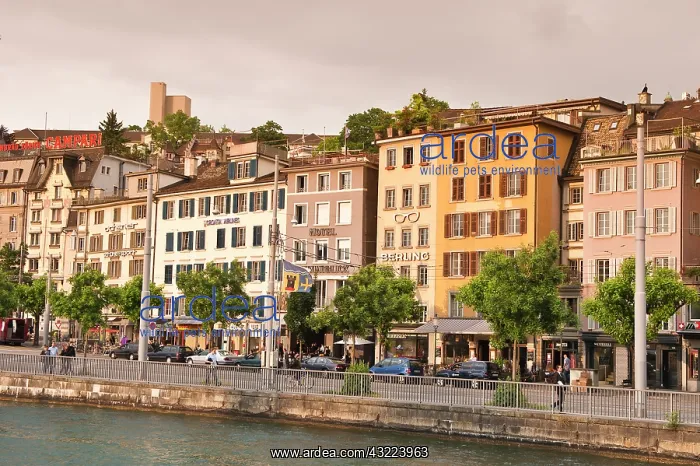 : Zurich, Switzerland. Buildings on the Limmat : Zurich, Switzerland. Buildings on the Limmat