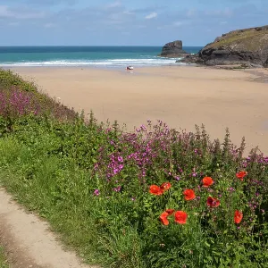 80181234 Beach - (area used in TV series Poldark) 80181234 Beach - (area used in TV series Poldark)