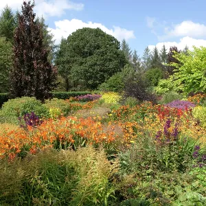 80183387 The Hot Garden Royal Horticultural Society 80183387 The Hot Garden Royal Horticultural Society