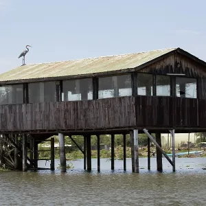 80186949 Observation hut bird hide on stilts Lake 80186949 Observation hut bird hide on stilts Lake