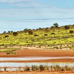 80194894 Simpson Desert - red sandy plain and dunes 80194894 Simpson Desert - red sandy plain and dunes