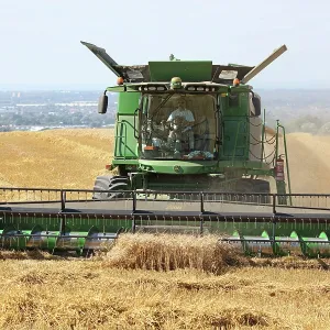 80194899 Farming - combine harvester harvesting
