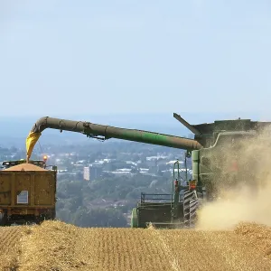80194900 Farming - combine harvester harvesting