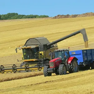 80194902 Farming - combine harvester harvesting