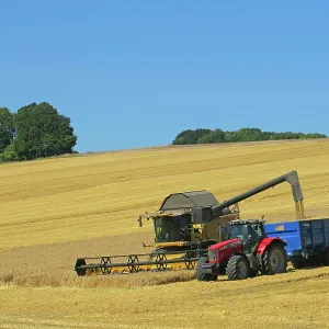 80194903 Farming - combine harvester harvesting