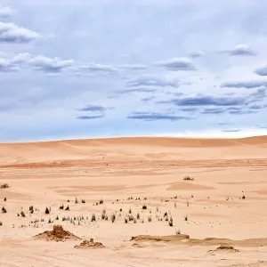 80196640 The Mungo National Park is a protected 80196640 The Mungo National Park is a protected