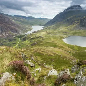 80201416 Llyn Idwal and Llyn Ogwen - with heather 80201416 Llyn Idwal and Llyn Ogwen - with heather