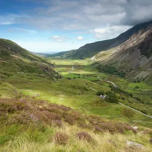 80201417 Nant Ffrancon - with Heather in foreground 80201417 Nant Ffrancon - with Heather in foreground