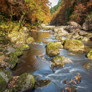 80201422 Afon Llugwy - with Autumn colours Betws-y- 80201422 Afon Llugwy - with Autumn colours Betws-y-