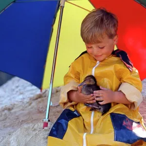 80202478 Child - boy with duckling, raincoat and 80202478 Child - boy with duckling, raincoat and