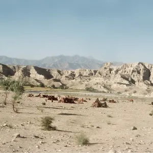 AFGHANISTAN - Nomad Encampment Near Khyber Pass