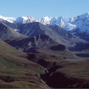 Alaska - Denali National Park Alaska - Denali National Park