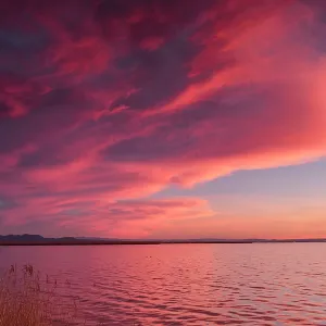 Albufera sunset