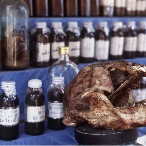 ANIMAL EXPLOTATION - Parts for sale, medicines and ANIMAL EXPLOTATION - Parts for sale, medicines and