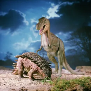 Ankylosaurus - with Tyrannosaurus in the background Ankylosaurus - with Tyrannosaurus in the background