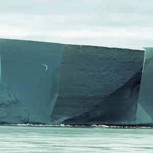 ANTARCTICA - Ross Ice Shelf / Ice Cliffs ANTARCTICA - Ross Ice Shelf / Ice Cliffs