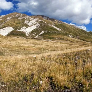 Apennines habitat Apennines habitat