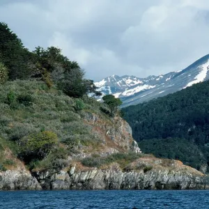 Argentina - beagle channel Argentina - beagle channel