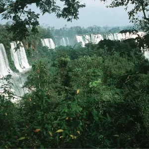 ARGENTINA - IGUAZU FALLS ARGENTINA - IGUAZU FALLS