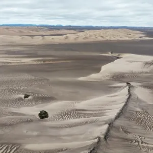 Barchan dunes and sand patterns at the edge of the Namib Desert
