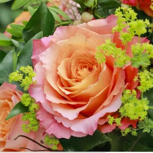 Botanik, Blumenstrauss Detail Arrangement, Blume Botanik, Blumenstrauss Detail Arrangement, Blume