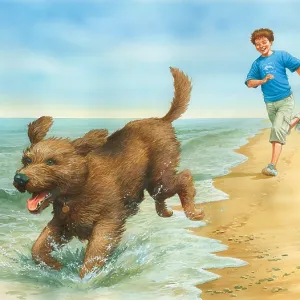 Boy and dog playing on beach with ball Boy and dog playing on beach with ball