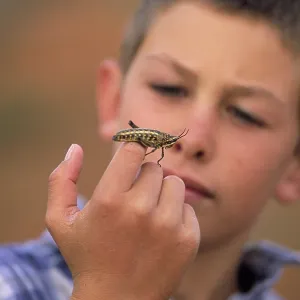 Boy and Grasshopper Boy and Grasshopper