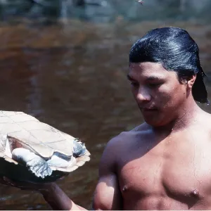 BRAZIL - Big Headed Turtles - Being collected by Cabaclo BRAZIL - Big Headed Turtles - Being collected by Cabaclo