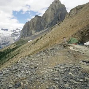 Burgess Shale Burgess Shale