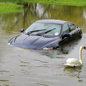 Car and swan in flooded river - Sun 6 May 2012 Car and swan in flooded river - Sun 6 May 2012